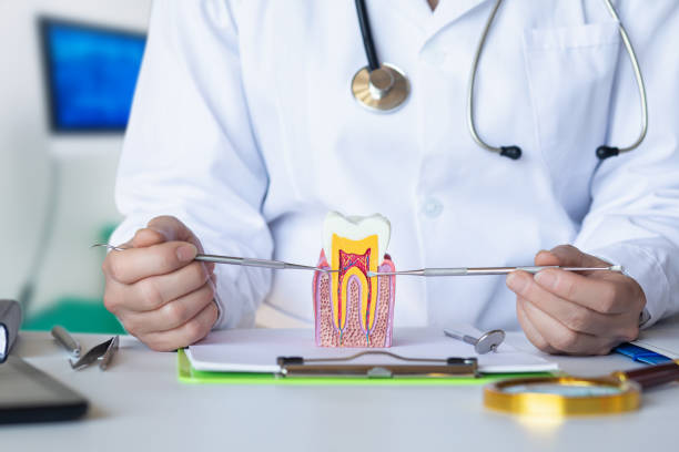 Best Broken or Chipped Tooth Repair in Lombard, IL